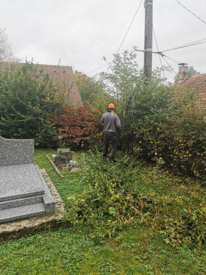 2024-10-19-09.27.15_1