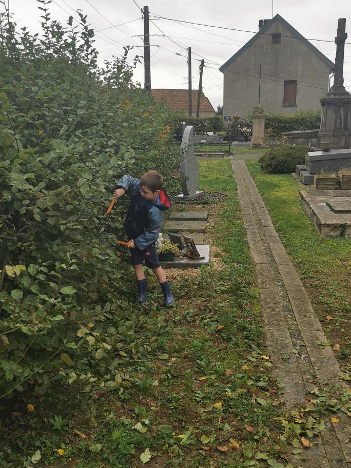 2024-10-19-09.28.08_1