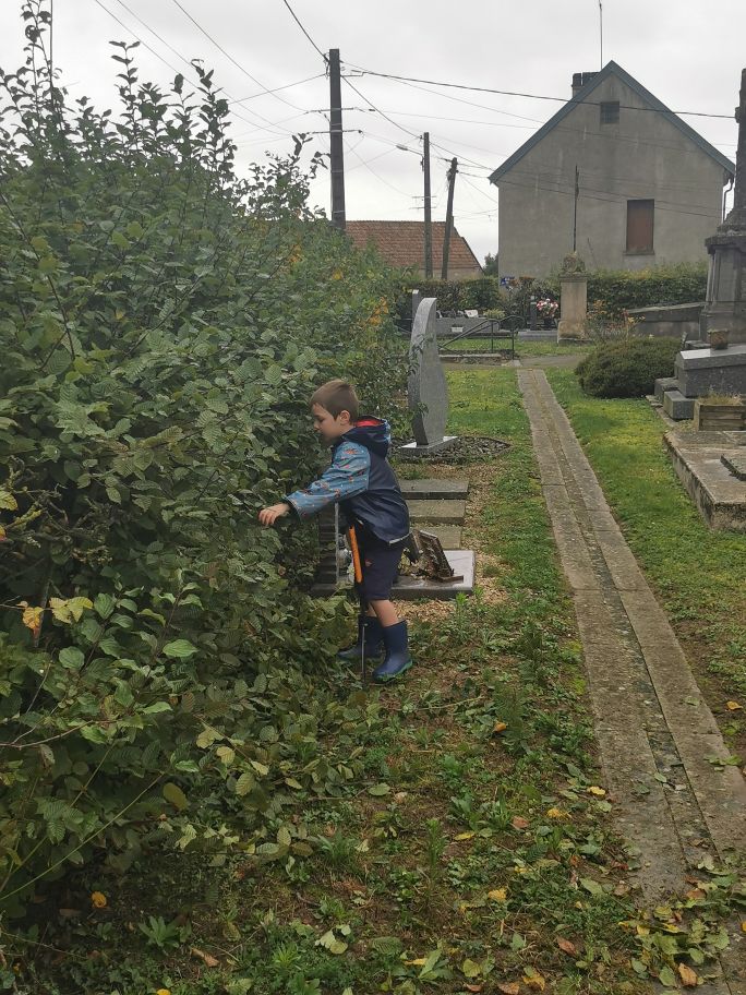 2024-10-19-09.28.10_1