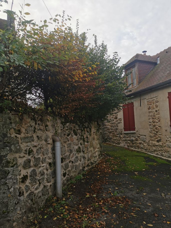 2024-10-19-09.47.27_1