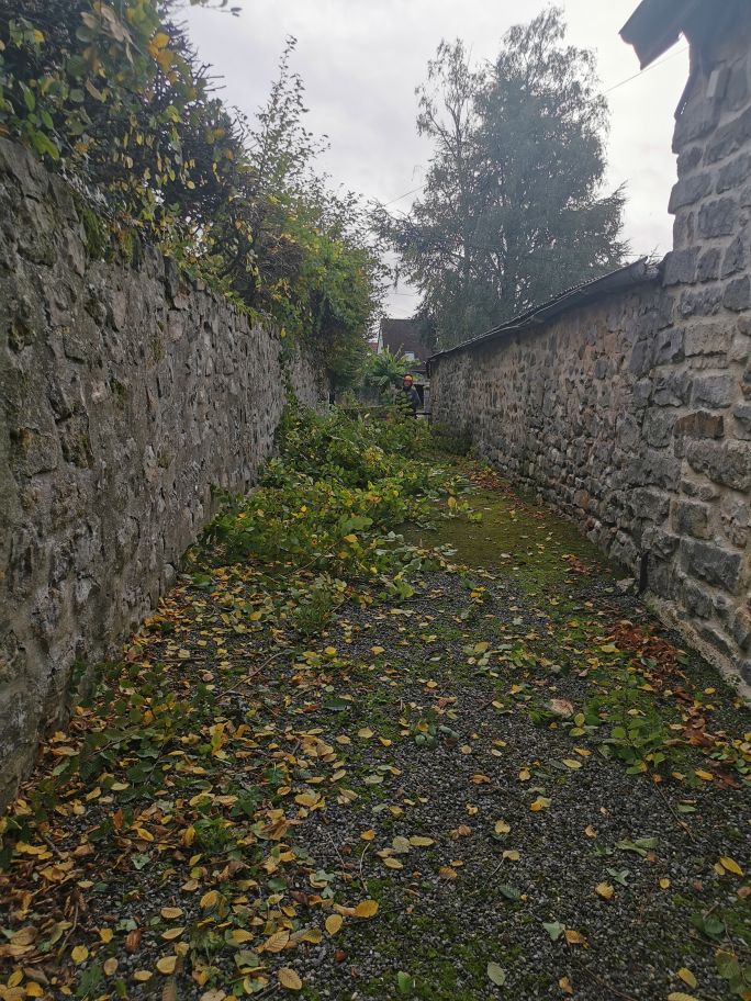 2024-10-19-10.08.42_1