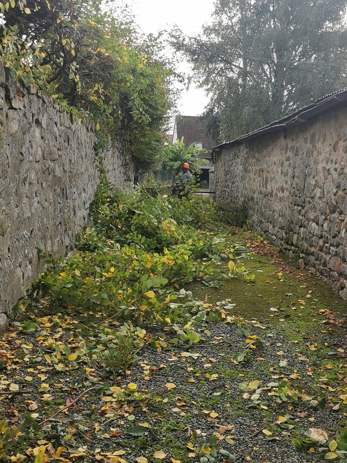 2024-10-19-10.08.46_1