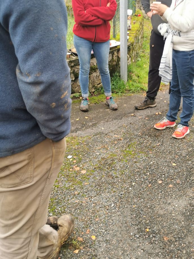 2024-10-19-11.18.28_1