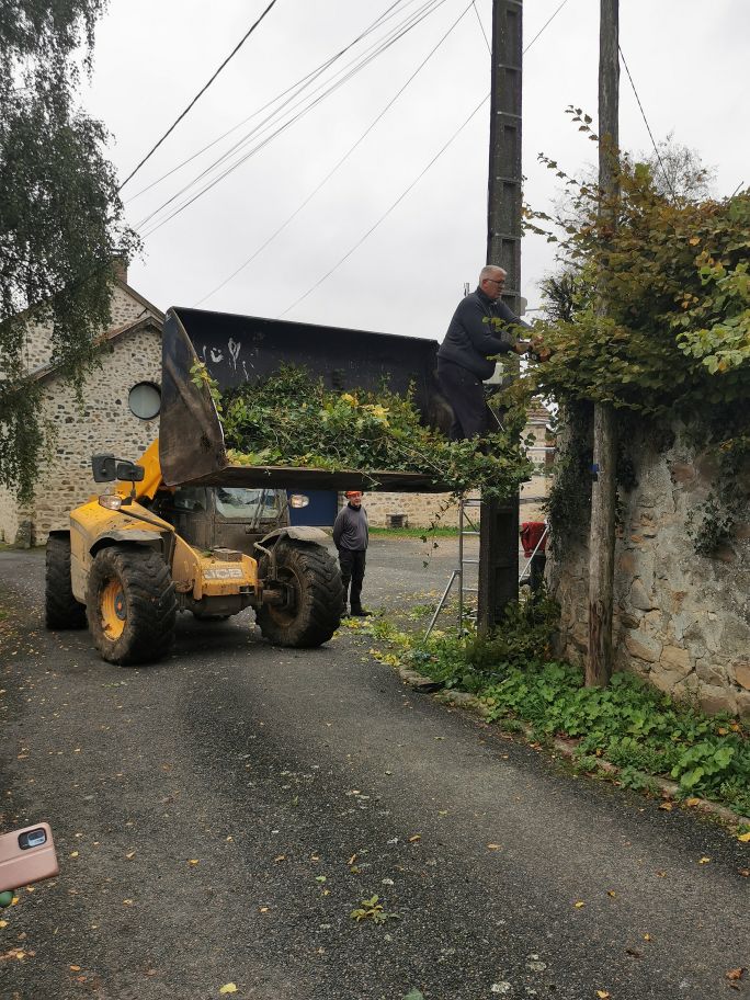 2024-10-19-11.20.24_1